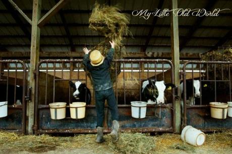 Living the old ways ~ The Amish Culture. Living the old ways ~ The Amish Culture.