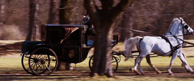 Living the old ways ~ The Amish Culture. Living the old ways ~ The Amish Culture.