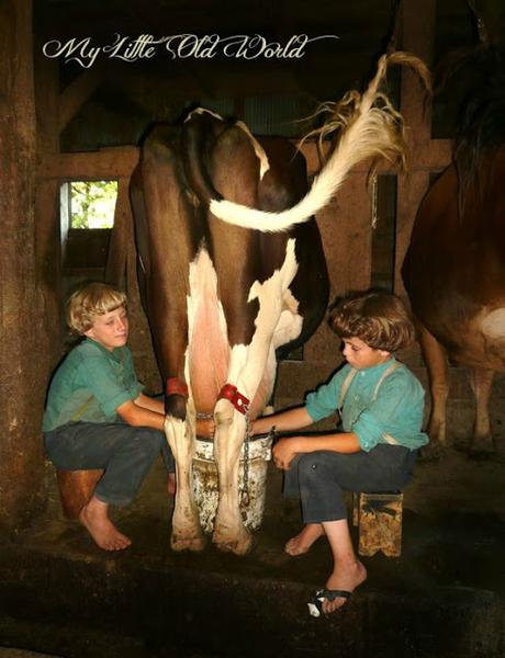 Living the old ways ~ The Amish Culture. Living the old ways ~ The Amish Culture.