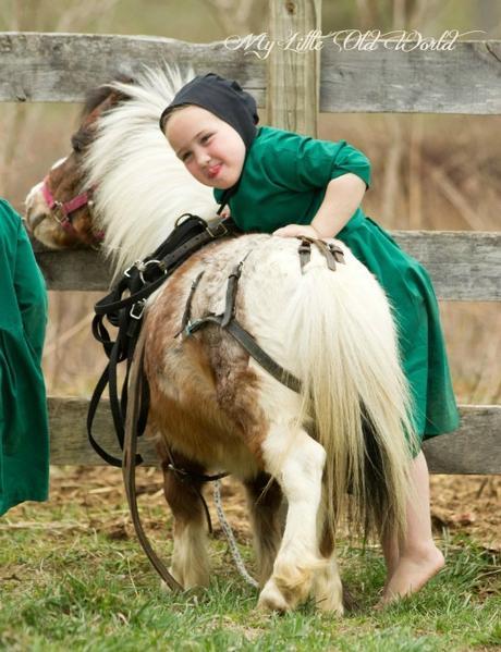 Living the old ways ~ The Amish Culture. Living the old ways ~ The Amish Culture.