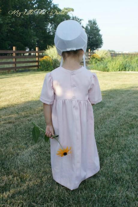 Living the old ways ~ The Amish Culture. Living the old ways ~ The Amish Culture.