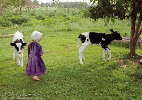 Living the old ways ~ The Amish Culture. Living the old ways ~ The Amish Culture.