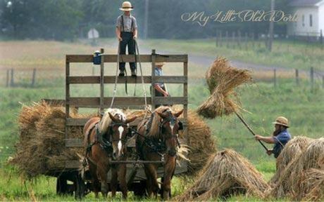 Living the old ways ~ The Amish Culture. Living the old ways ~ The Amish Culture.