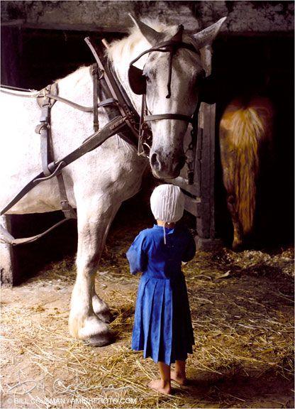 Living the old ways ~ The Amish Culture. Living the old ways ~ The Amish Culture.