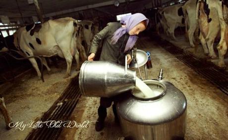 Living the old ways ~ The Amish Culture. Living the old ways ~ The Amish Culture.