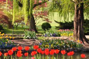iTop: i 5 giardini più belli da vedere in Italia iTop: i 5 giardini più belli da vedere in Italia