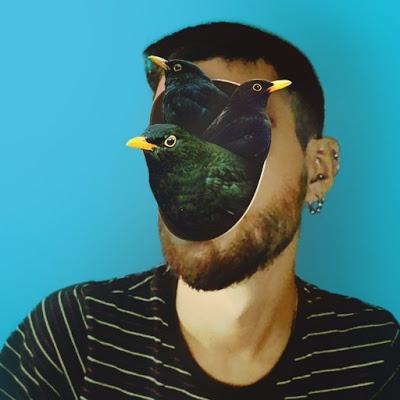 The Merlo. Quando il talento incontra Twitter e sposa il Trash. The Merlo. Quando il talento incontra Twitter e sposa il Trash.