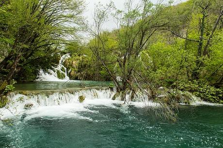 Le cascate dei Laghi di Plitvice: punto fermo di una vacanza in Croazia Laghi di Plitvice Croazia