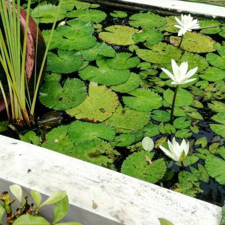 Bali, itinerario di viaggio di 12 giorni e consigli Bali isola degli Dei