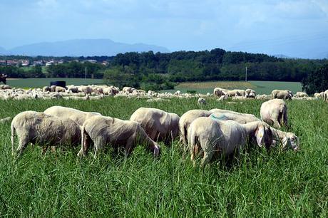 Intervallo. Cavenago di Brianza - Domeniche in collina