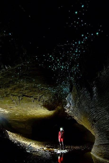 Fare black water rafting in Nuova Zelanda: un’avventura! Fare black water rafting in Nuova Zelanda: un’avventura!