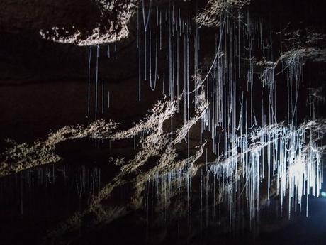 Fare black water rafting in Nuova Zelanda: un’avventura! Fare black water rafting in Nuova Zelanda: un’avventura!