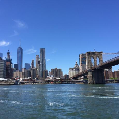 Viaggio a New York Ponte di Brooklin