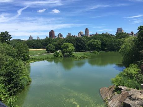 Viaggio a New York Central Park