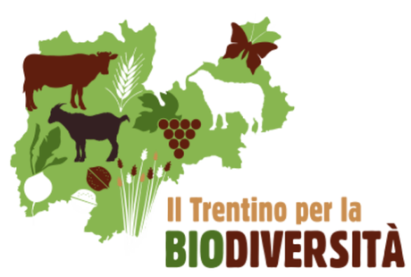 IL TRENTINO BIODIVERSO IL TRENTINO BIODIVERSO