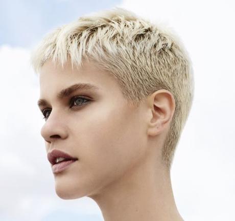 Tagli capelli e colori primavera-estate 2017 Tagli capelli e colori primavera-estate 2017
