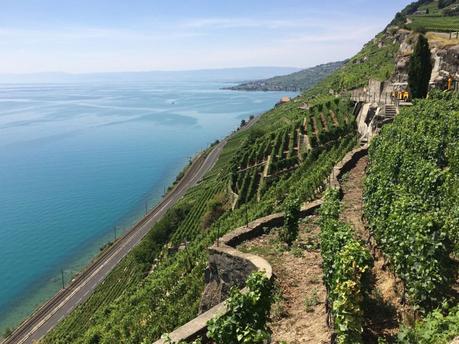 Siti Unesco della Svizzera in festa Gli arditi terrazzamenti del Lavaux a picco sul Lago Lemano. Credit: SvizzerAmo