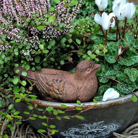 Il favoloso giardino di Anita Say hello, little birdie Ik hoop jullie hebben even tijd om te relaxen. Fijne avond iedereen! Bei uns herrscht noch immer vorweihnachtlicher Trubel. Ich hoffe, bald kann ich auch aufatmen. Macht es Euch gemütlich heute Abend #landelijketuin #landelijkesfeer #landliebe #landelijkestijl #tuin #landliebe #landliv #mycountrycottage #countrycottage #instaflowers #instaflowers #instagarden #mycottageinstincts #countrygarden #heart_imprint #garden #garten #mygatheredgarden #autumngarden #all_gardens #herbstdeko #hydrangea #hortensien #weisseblumen #whitelove #muehlenbeckia #birdie #alpenveilchen #rusticlove