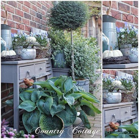Il favoloso giardino di Anita More autumn memories - at our front door a couple of weeks ago. Have a cosy December weekend everybody De herfst was een mooie tijd buiten in de tuin enkele weken gelesen. Een heel fijne avond wens ik jullie toe. Maakt het gesellig en geniet Habt einen schönen Start in das 3. Adventswochenende Ihr Lieben #landelijketuin #landelijkesfeer #landliebe #landelijkestijl #tuin #landliebe #landliv #mycountrycottage #countrycottage #instaflowers #instaflowers #instagarden #rosenliebe #mycottageinstincts #countrygarden #heart_imprint #garden #garten #hortensien #hortensia #hydrangeas #magicalfourseasons #mygatheredgarden #autumngarden #all_gardens #vintagegarden #hosta #pompoenen #kürbisse #pumpkins #tuindecoratie
