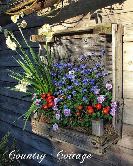 Il favoloso giardino di Anita It's freezing outside this morning and I am so much longing for spring. Enjoy your Sunday and stay warm and cosy Goedenmorgen allemaal! Wat is het koud vanochtend. Ik verheug me zo op de lente. Fijne zondag iedereen, ik hoop dat jullie kunnen genieten van de vrije dag Während es draußen klirrend kalt ist bin ich bei mir im Atelier kreativ und Träume vom Frühling. Habt es fein heute #landelijketuin #landelijkesfeer #landliebe #landelijkestijl #tuin #landliebe #landliv #mycountrycottage #countrycottage #instaflowers #instaflowers #instagarden #mycottageinstincts #countrygarden #heart_imprint #garden #garten #mygatheredgarden #all_gardens #lieblingsecke #woodencrate #brocante #zomooi