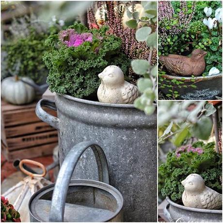 Il favoloso giardino di Anita I love my galvanized planters.... and my little birdies Goedemorgen allemaal! Er zijn nog steeds een aantaal fotos's van afgelopen herfst die ik graag met jullie zou willen delen! Fijne donderdag! Guten Morgen Ihr Lieben! Ein paar Herbstbilder habe ich noch, und dann stimme ich Euch auf auf den Frühling ein Startet gut in den Tag #landelijketuin #landelijkesfeer #landliebe #landelijkestijl #tuin #landliebe #landliv #mycountrycottage #countrycottage #instaflowers #instaflowers #instagarden #mycottageinstincts #countrygarden #heart_imprint #garden #garten #mygatheredgarden #autumngarden #all_gardens #herbstdeko #pompoenen #pompoen #galvanized #birdies #instagardenlovers #instagardenlover