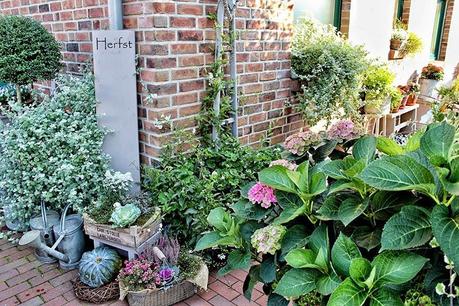 Il favoloso giardino di Anita Another peek behind the potting shed last October! Hope you are all doing fine - not as me. I am in bed with the flu Slechts nieuws: Ik heb griep en sinds vrijdag lig ik op bed met een berg zakdoekjes naast me. Fijne avond allemaal Noch ein Blick hinter unser Gartenhäuschen Anfang Oktober, als es noch überall grünte und blühte. Ich hoffe, bei Euch sind alle gesund - mich hat es leider erwischt mit einer starken Grippe Habt einen schönen Abend #landelijketuin #landelijkesfeer #landliebe #landelijkestijl #tuin #landliebe #landliv #mycountrycottage #countrycottage #instaflowers #instaflowers #instagarden #rosenliebe #mycottageinstincts #countrygarden #klimroos #climbingroses #kletterrosen #heart_imprint #paulshimalayanmusk #garden #garten #hortensien #hortensia #hydrangeas #magicalfourseasons #mygatheredgarden #autumngarden #all_gardens