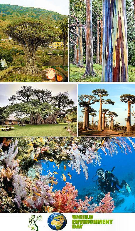 Giornata mondiale dell'ambiente Giornata mondiale dell'ambiente