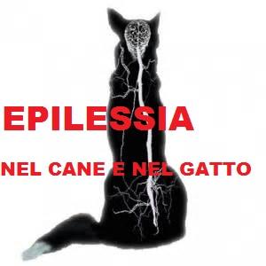 EPILESSIA IDIOPATICA NEL CANE E NEL GATTO :LA TERAPIA EPILESSIA IDIOPATICA NEL CANE E NEL GATTO :LA TERAPIA