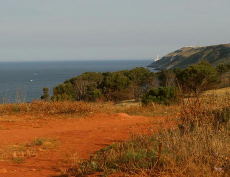 10 cose da sapere sul Salento (che ho scoperto in un educational tour) 10 cose da sapere sul Salento (che ho scoperto in un educational tour)