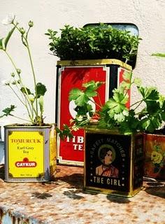 Barattoli di latta riciclata, dallo stile vintage, per l'orto aromatico. Barattoli di latta riciclata, dallo stile vintage, per l'orto aromatico.