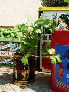 Barattoli di latta riciclata, dallo stile vintage, per l'orto aromatico. Barattoli di latta riciclata, dallo stile vintage, per l'orto aromatico.