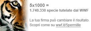 WWF INTERNAZIONALE COMPIE 50 ANNI - 29 aprile compleanno dell'associazione: un'occasione per ripercorrere mezzo secolo di storia