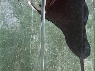 Save The Turet Save The Turet