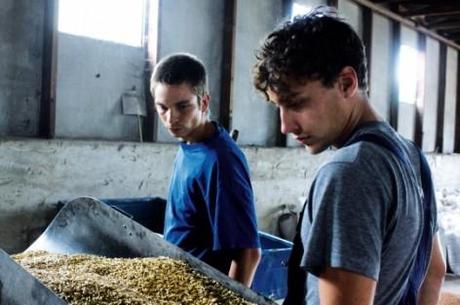 Stadt-Land-Fluss GLBT26 – bucolico Stadt Land Fluss