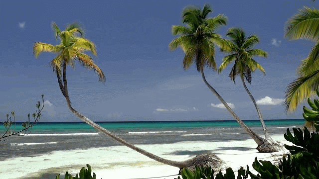 Tesori Nascosti Isole Andamane e Nicobare Tesori Nascosti Isole Andamane e Nicobare