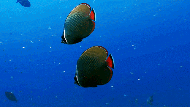 Tesori Nascosti Isole Andamane e Nicobare Tesori Nascosti Isole Andamane e Nicobare