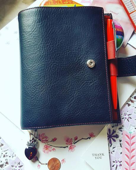 Gillio Compagna a6 Review Gillio Compagna a6 Review