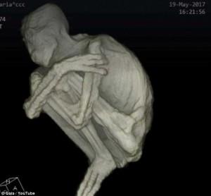 Le mummie “aliene” di Nazca, parlano i medici MARIA, ANALIZZATA CON LA TAC