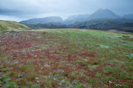 Trekking in Islanda: Laugavegur. Da Thórsmörk a Landmannalaugar, l’hike più bello del mondo. Trekking in Islanda: Laugavegur. Da Thórsmörk a Landmannalaugar, l’hike più bello del mondo.