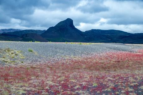 Trekking in Islanda: Laugavegur. Da Thórsmörk a Landmannalaugar, l’hike più bello del mondo. Trekking in Islanda: Laugavegur. Da Thórsmörk a Landmannalaugar, l’hike più bello del mondo.