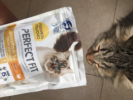 #Perfectfitcat a prova di Oliver ! #Perfectfitcat a prova di Oliver !