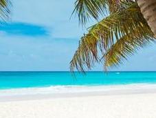 Dove sono nuovi paradisi fiscali? Nelle Cryptocurrencies
