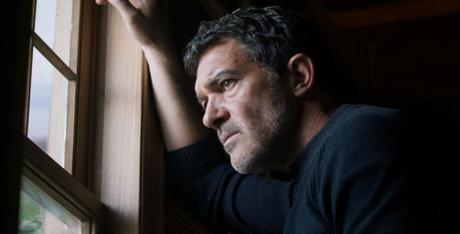 Black Butterfly: le Farfalle Nere non hanno Coraggio Black Butterfly: le Farfalle Nere non hanno Coraggio