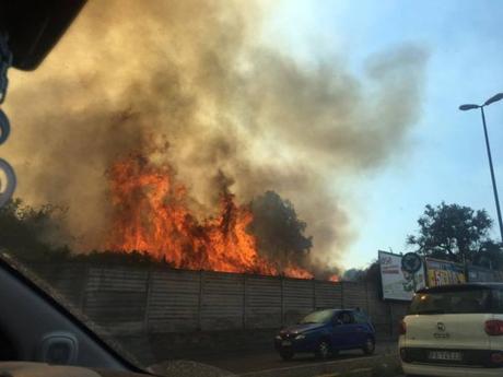 Foto. Napoli tra le fiamme, incendio a Monte Sant’Angelo: evacuata l’università Foto. Napoli tra le fiamme, incendio a Monte Sant’Angelo: evacuata l’università