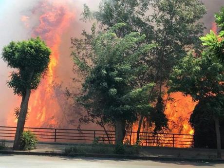 Foto. E’ grave l’incendio a Posillipo: via Petrarca è un inferno di fiamme Foto. E’ grave l’incendio a Posillipo: via Petrarca è un inferno di fiamme