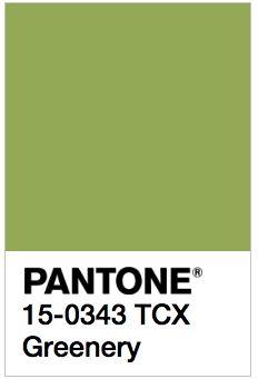 BIG COLOR TRENDS FOR SUMMER 2017: GREEN SHADES BIG COLOR TRENDS FOR SUMMER 2017: GREEN SHADES
