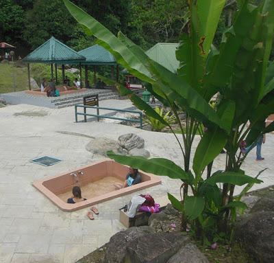 Malaysia 39 - Il Kinabalu Park Malaysia 39 - Il Kinabalu Park