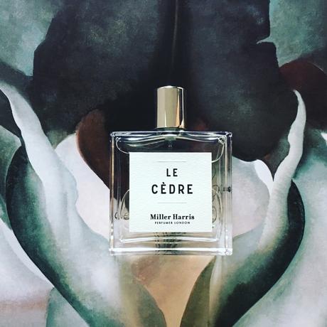 IL PROFUMO: LE CÈDRE di MILLER HARRIS IL PROFUMO: LE CÈDRE di MILLER HARRIS