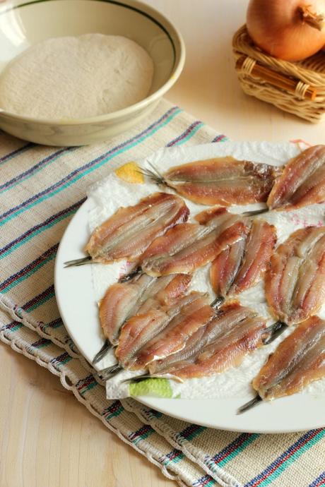 Alici in cipollata: l'acciuga, pesce