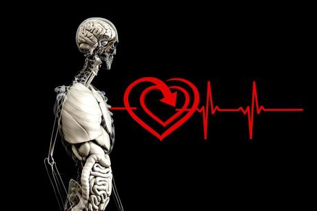 Record di trapianti: primato di eccellenza della medicina e ricerca dell’Università di Torino Record di trapianti: primato di eccellenza della medicina e ricerca dell’Università di Torino
